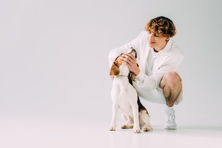 happy man with curly hair looking at beagle dog on grey backgroundの写真素材
