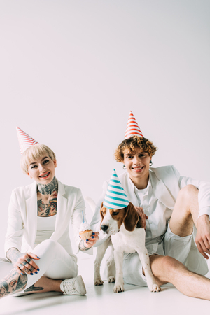 happy couple wearing party caps sitting with beagle dog on grey backgroundの写真素材