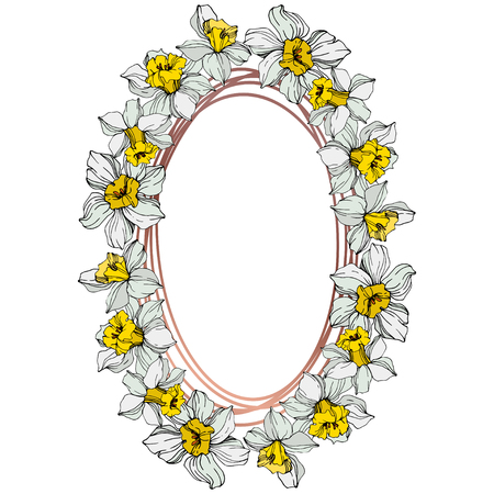 Vector White narcissus floral botanical flower. Wild spring leaf wildflower isolated. Engraved ink art on white background. Frame border ornament square.のイラスト素材