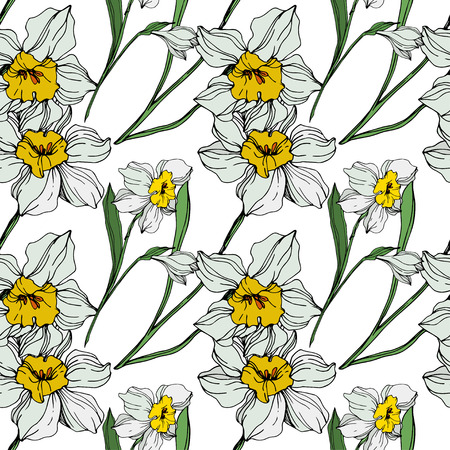 Vector White narcissus floral botanical flower. Wild spring leaf wildflower isolated. Engraved ink art on white background. Seamless background pattern. Fabric wallpaper print texture.のイラスト素材