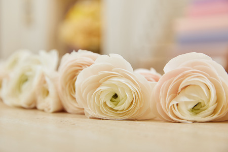 close up of white peonies on table surfaceの写真素材