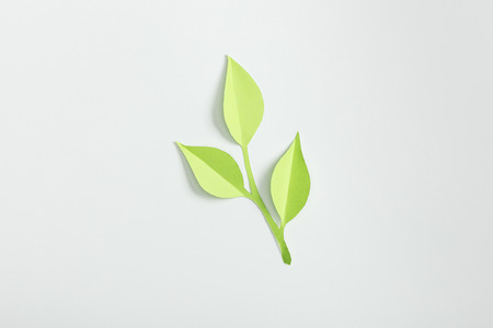 top view of green paper plant on grey backgroundの写真素材