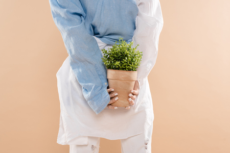 cropped view of young woman holding pot with plant isolated on beige, environmental saving conceptの写真素材