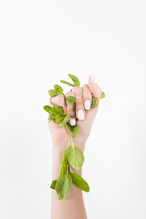 female hand holding green mint leaves isolated on white, environmental saving conceptの写真素材