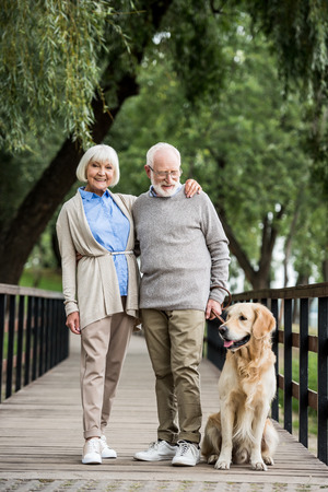 happy senior couple embracing while walking with friendly dog in parkの写真素材