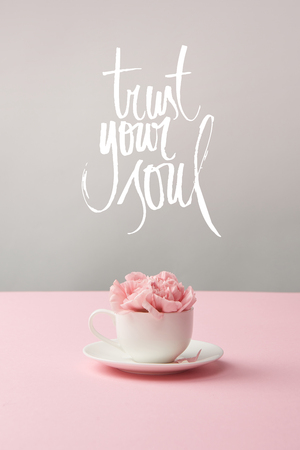 pink carnation flowers in white cup on saucer on grey background with trust your soul letteringの写真素材
