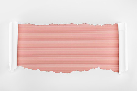 ripped white textured paper with curl edges on pink striped backgroundの写真素材