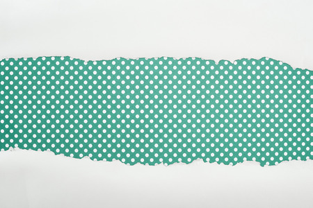 ripped white textured paper with copy space on green polka dot background