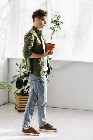 man in green shirt and jeans standing and holding pot with plant in officeの写真素材