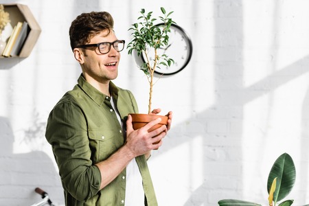 man in shirt and glasses holding pot with plant near brick wall in officeの写真素材