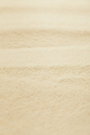 selective focus of golden sandy beach in summertimeの写真素材