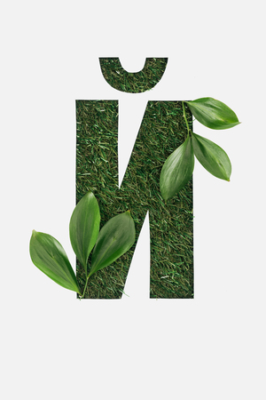 top view of cyrillic letter made of green grass with leaves in corners isolated on whiteの写真素材