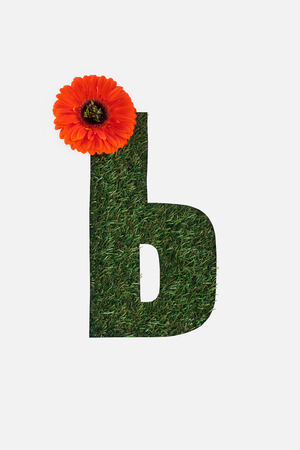 letter from cyrillic alphabet of green grass with bright red gerbera flower isolated on whiteの写真素材
