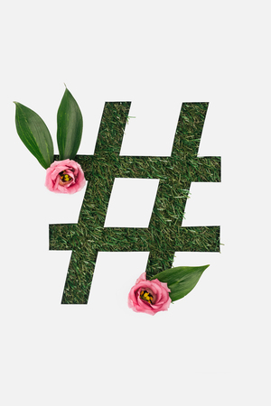 top view of cut out hashtag sign on green grass background with leaves and pink peonies isolated on...