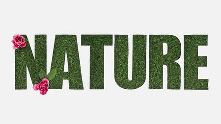 top view of cut out nature lettering on green grass background with green leaves and pink peonies isolated on whiteの写真素材