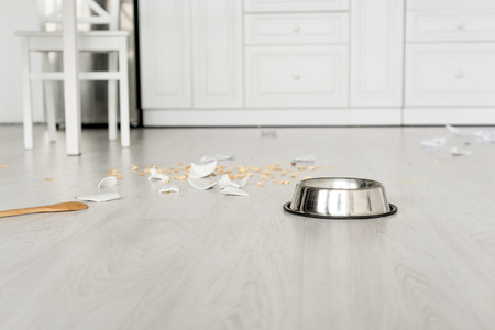 metal bowl, wooden spoon and broken dishes on floor in kitchen