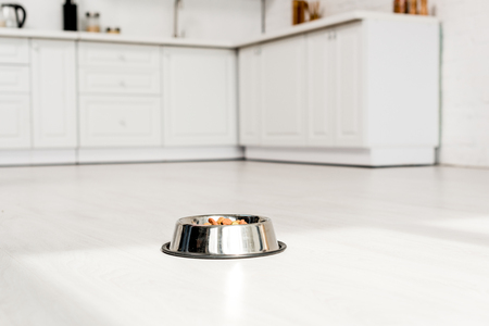 metal bowl with dog food on white floor in kitchenの写真素材
