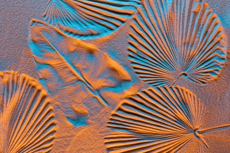 top view of textured backdrop with leaf prints on sand and color filter