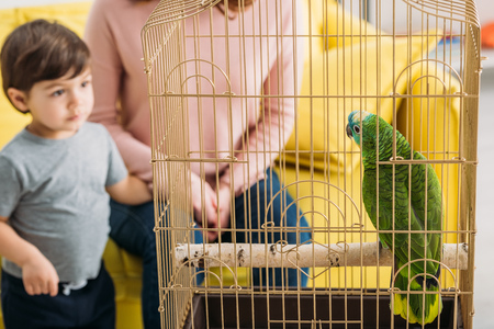 Partial view of mother with cute son looking at green parrot in bird cageの写真素材