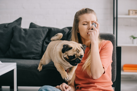 Beautiful blonde woman allergic to dog using inhaler near pug at homeの写真素材