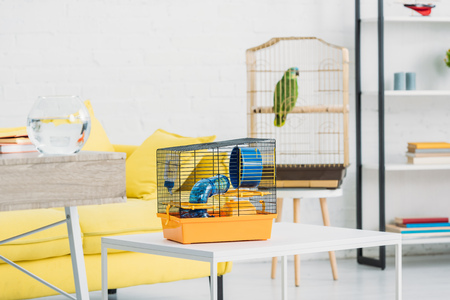 Living room with orange pet cage on white table, and green parrot in bird cageの写真素材