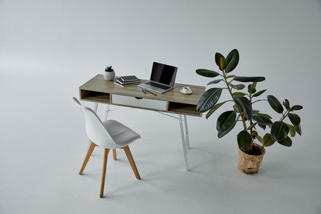 White chair, ficus in flowerpot, table with laptop and books on grey backgroundの写真素材