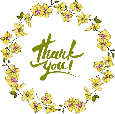 Vector Orchid floral botanical flowers. Wild spring leaf wildflower isolated. Yellow and green engraved ink art. Frame border ornament square obn white background.のイラスト素材