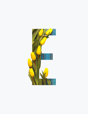 Cyrillic letter with yellow tulips isolated on whiteの写真素材