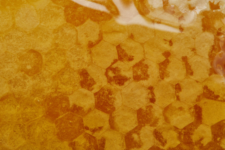 close up view of hexagon pattern on delicious textured honeycombの写真素材