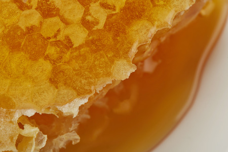 close up view of delicious raw textured Honeycombの写真素材