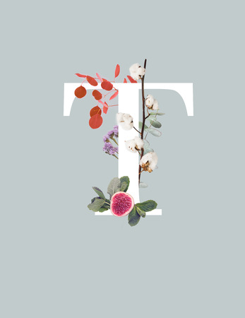white letter T with cotton branch, fig and green leaves isolated on greyの写真素材