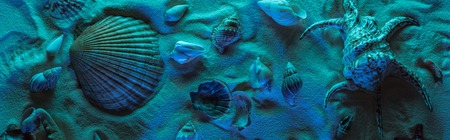 panoramic shot of seashells on sand with blue light