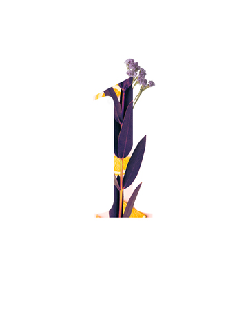 number 1 with purple wildflowers and leaves isolated on whiteの写真素材