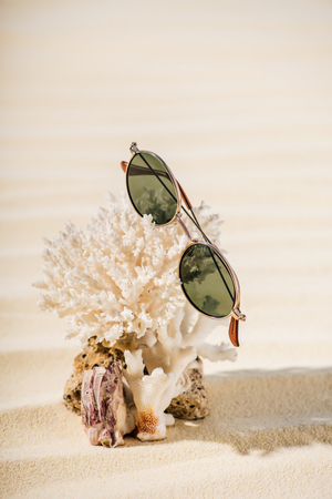 Natural coral with sunglasses on beige sandy beachの写真素材