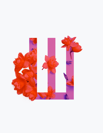 Cyrillic letter with red daffodils on pink background isolated on white backgroundの写真素材