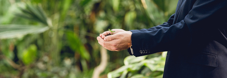 Panoramic shot of businessman in suit holding green sprout and ground in hands in orangeryの写真素材