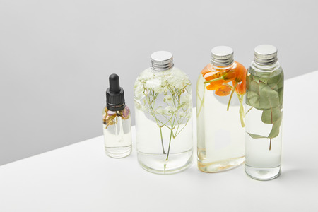 Organic beauty products in transparent bottles with herbs, leaves and wildflowers isolated on grey backgroundの写真素材