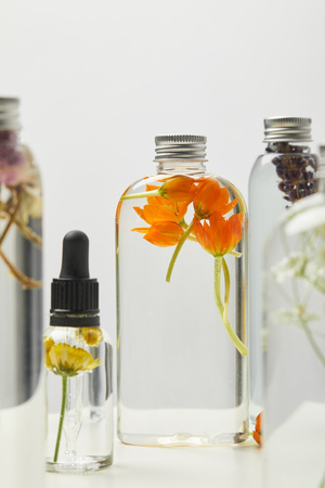 Selective focus of organic beauty products in bottles with herbs and wildflowers isolated on grey backgroundの写真素材