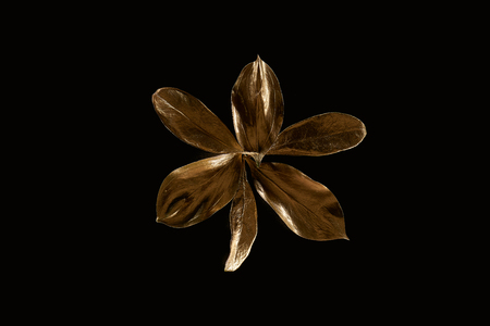 Top view of golden metal decorative leaves isolated on black backgroundの写真素材