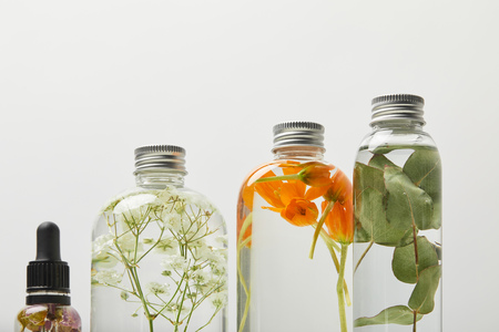 Organic beauty products in transparent bottles with herbs, leaves and wildflowers isolated on grey backgroundの写真素材