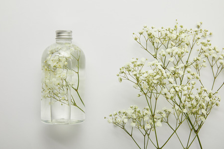 Top view of transparent bottle with natural liquid beauty product near dry white wildflowers on grey backgroundの写真素材