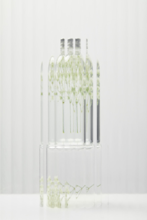 Blurred organic cosmetic product in transparent bottle with wildflowers behind glass on grey backgroundの写真素材
