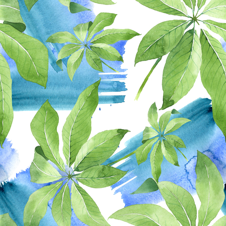 Palm beach tree leaves jungle botanical. Watercolor illustration set. Watercolour drawing fashion aquarelle. Seamless background pattern. Fabric wallpaper print texture.の写真素材