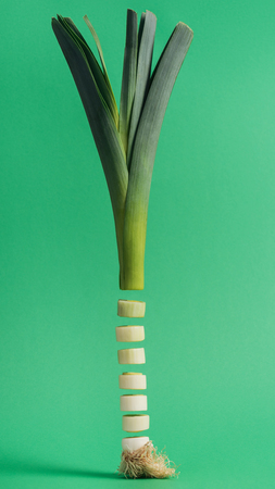 Sliced organic fresh green leek on green backgroundの写真素材