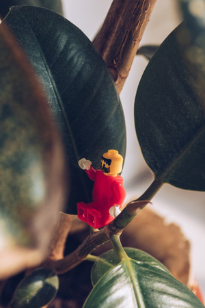 KYIV, UKRAINE - MARCH 15, 2019: selective focus of red lego figurine with beard gesturing while sitting on ficus plantの写真素材