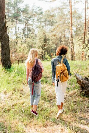 Back view of two multiethnic friends with backpacks walking in forestの写真素材