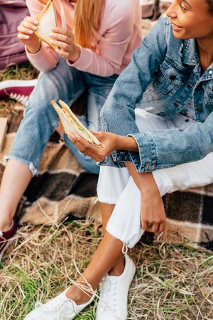 Partial view of two multiethnic friends eating sandwiches on picnicの写真素材