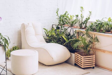 white soft chaise lounge and pouf in room with lush green plantsの写真素材