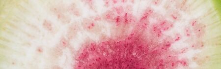 panoramic shot of raw watermelon radish purple sliceの写真素材