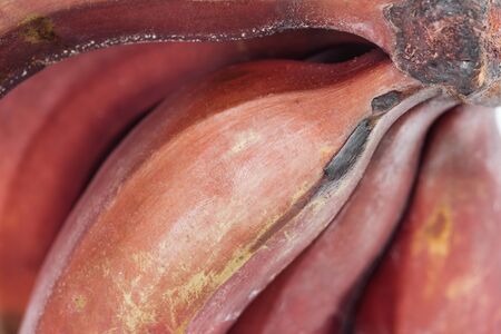close up view of ripe exotic tasty red bananasの写真素材